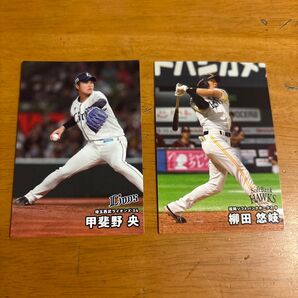 2025 プロ野球チップス カード 2枚