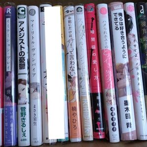 ★更新しました★BL本 2冊で500円