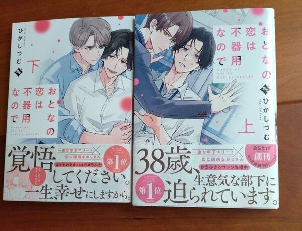 おとなの恋は不器用なので 上下巻セット/ひがしづむ