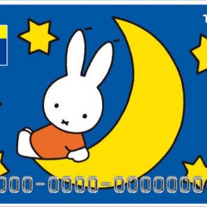 ミッフィ Tカード Vポイントカード