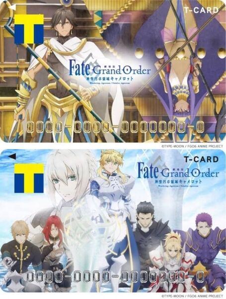 fate grand order 2枚セット Tカード Vポイントカード