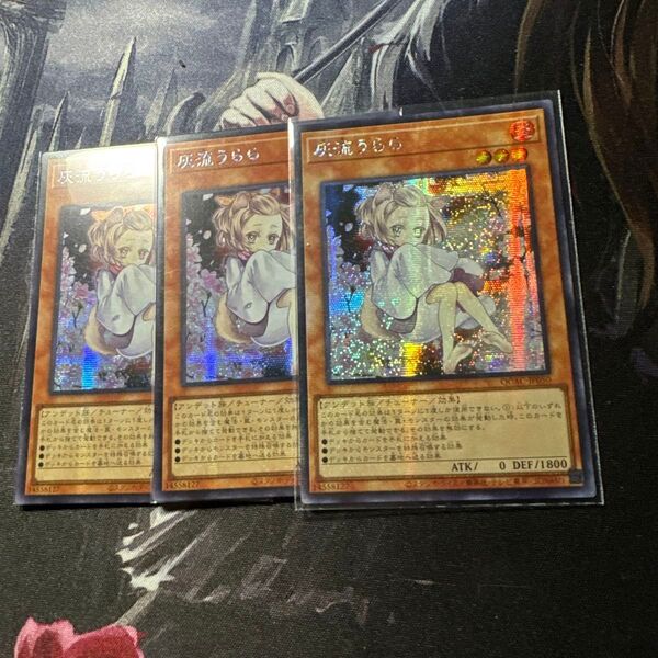 遊戯王 アジア版 灰流うらら 絵違い アジア シークレット 3枚 亜シク