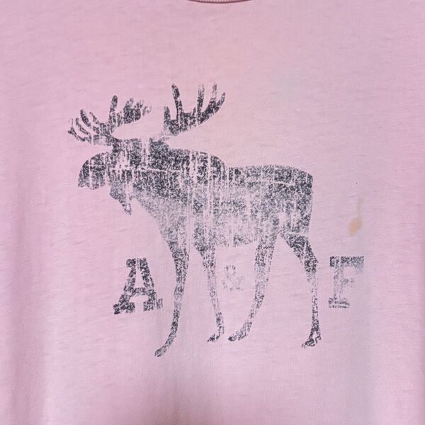 Abercrombie&FITCH Tシャツ アバクロ 古着 USED ダメージあり