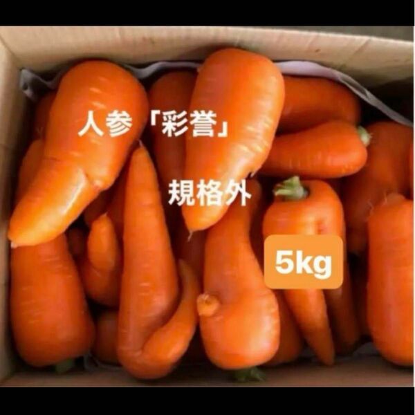 産直!春人参「彩誉」規格外 箱込み5kg 送料込