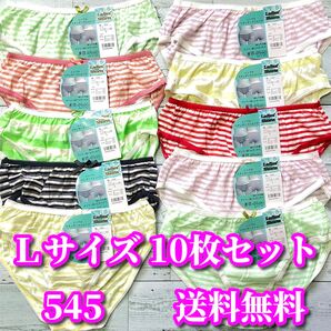 新品 Lサイズ 10枚セット 綿混 ボーダー柄 ショーツ まとめ売り 福袋 フルバックショーツ デイリーショーツ 545