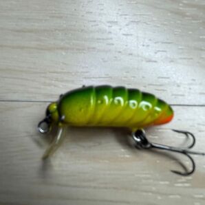 レア 美品 廃盤 ティファ チライ コクーン 32mm TIFACHIRAI COCOON チャート系 フローティング