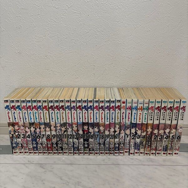 ☆激安☆送料無料☆咲1-21巻☆怜1-4巻☆阿知賀編1-6巻☆ラブじゃん☆小林立☆