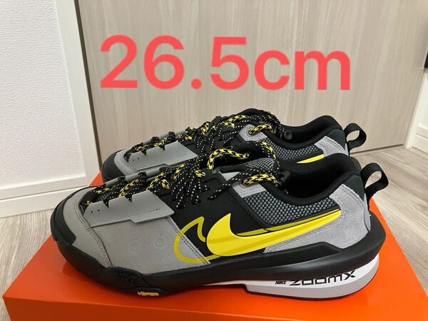 ナイキサカイ ゼカマドーム sacai × Nike Zegamadome "Matte Silver" シルバー
