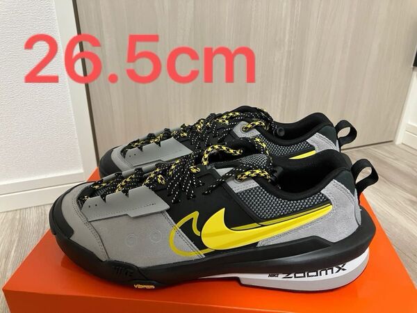 最安値! ナイキサカイ ゼカマドーム sacai × Nike Zegamadome "Matte Silver" シルバー