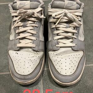 Nike Dunk Low "Pure Platinum/White/Wolf Gray"