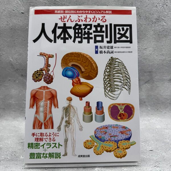 【値下】ぜんぶわかる人体解剖図 成美堂出版