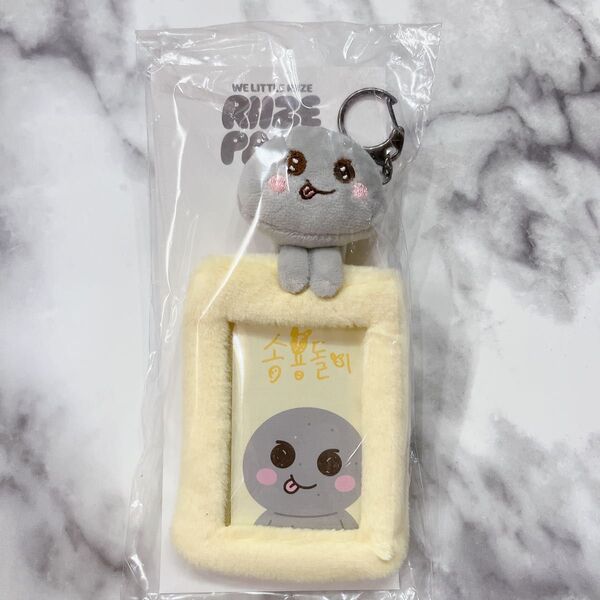 【新品未使用】RIIZE PARK MD ウンソク ソンヨンドリ トレカケース
