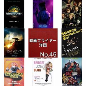 邦画 映画フライヤー(チラシ)45