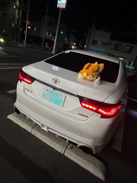 マークX130系鱗テールランプ