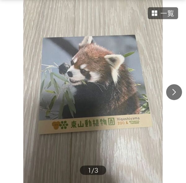 レッサーパンダ 東山動植物園 メモ帳
