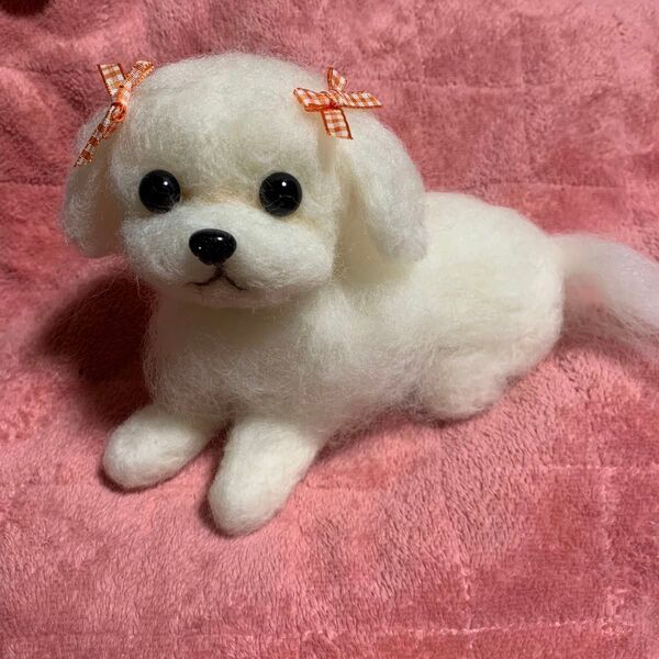 羊毛フェルトマルチーズ