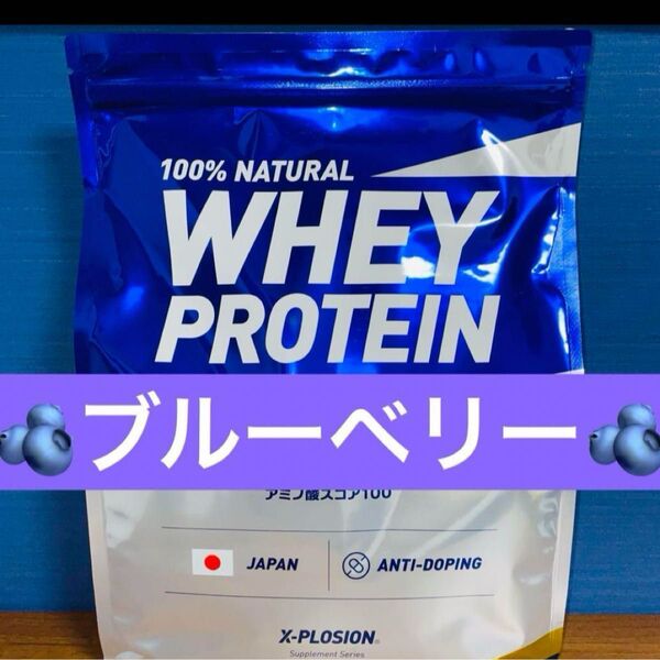 エクスプロージョン プロテイン ブルーベリー味 3kg