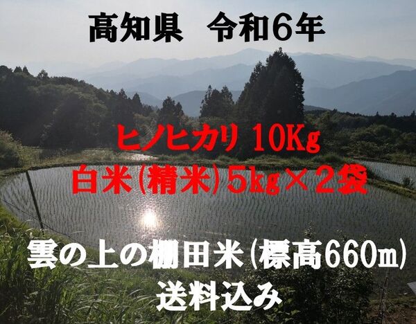令和6年産 雲の上の棚田米 農家直送のコシヒカリ 白米(精米)5kg 2袋 送料無料