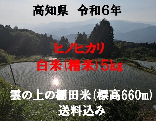 令和6年産 雲の上の棚田米 農家直送のコシヒカリ 白米(精米)5kg 送料無料