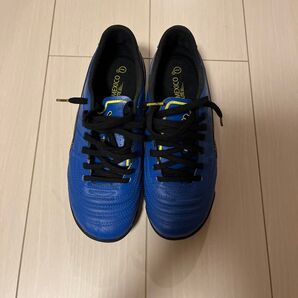 PUMA パラメヒコ ライト 青
