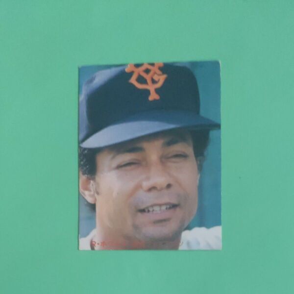 カルビー プロ野球カード1981年巨人ホワイト選手