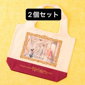 【新品未使用】2点セット 東京ディズニーシー ファンタジースプリングスホテル グランドシャトー エコバッグ 限定
