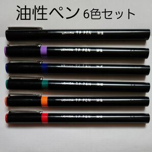 油性ペン 6色セット 極細タイプ ケース付き 新品