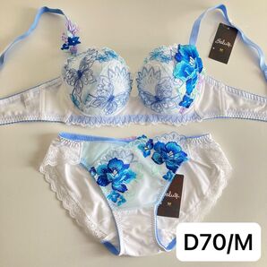 ワコール サルート みずがめ座 D70/M WH 白 P-upブラ ノーマルショーツ 42