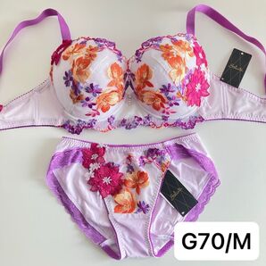 ワコール サルート ちはやふる G70/M PU 81 P-upブラ ノーマルショーツ WACOAL SALUTE
