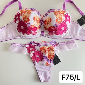 ワコール サルート ちはやふる F75/L/M PU リボンブラ ソング タンガ Tバック 81