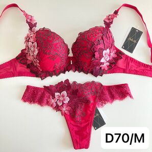 ワコール サルート ローマの休日 D70/M RP 02 P-upブラ ソング