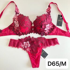 ワコール サルート ローマの休日 D65/M RP 02 P-upブラ ソング