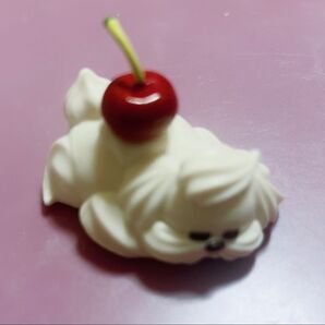 ホイップわんちゃんのくらし