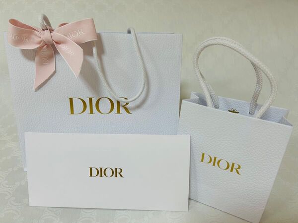 紙袋 ショッパー Dior DIOR ショップ袋 Christian ディオール ブランド紙袋 封筒