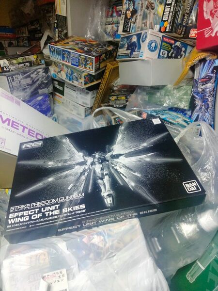 箱未開封未組立ストライクフリーダムガンダム用 拡張エフェクトユニット“天空の翼” プレミアムバンダイ限定 1/144スケール RG