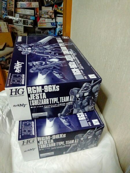 未組立HG RGX-96X ジェスタシェザール隊仕様 A班装備2個セット1/144プレミアムバンダイ限定 機動戦士ガンダムNT