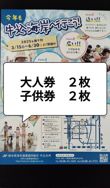 牛込海岸 潮干狩り 入場券 大人券2枚、子供券2枚セット 6月30日迄 アサリ ハマグリ 千葉 チケット