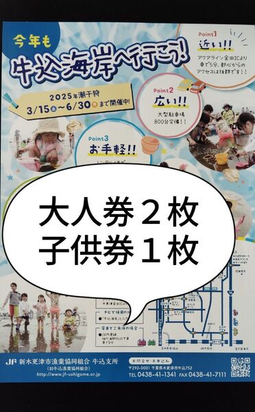 牛込海岸 潮干狩り 入場券 大人券2枚、子供券1枚セット 6月30日迄 アサリ ハマグリ 千葉 チケット