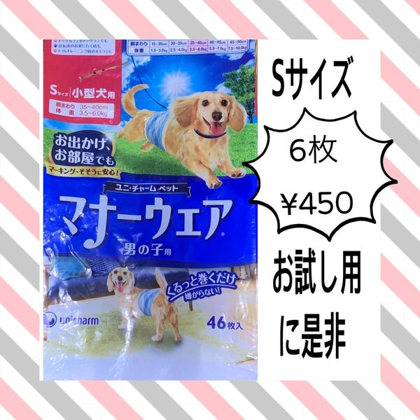 ★マナーウェア 男の子用 Sサイズ お試し 6枚 マナーベルト ワンちゃんおむつ オムツ