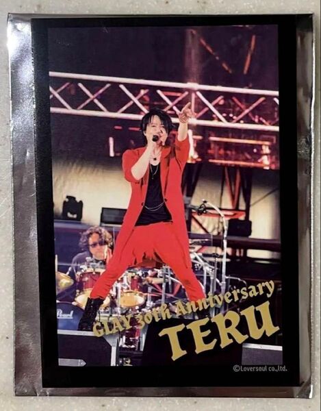 GLAY GiGO ライブフォトカード TERUさんと全景 2種類