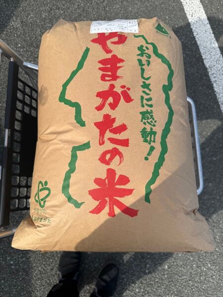 【送料込】令和6年度産 山形県産はえぬき30k玄米 値下げ不可