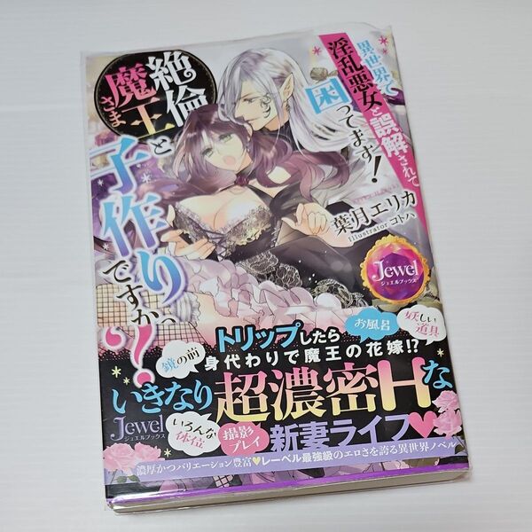 異世界で淫乱悪女と誤解されて困ってます!絶倫魔王さまと子作りですかっ? (ジュエルブックス) 葉月エリカ/著