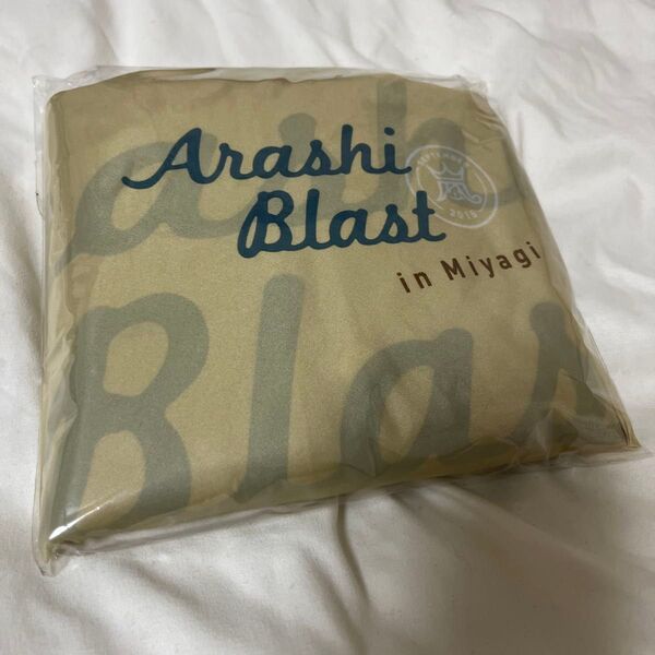 【新品】【おまけ付き】嵐 blast in miyagi レインコート