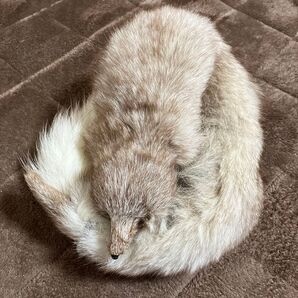 リアルフォックスマフラー