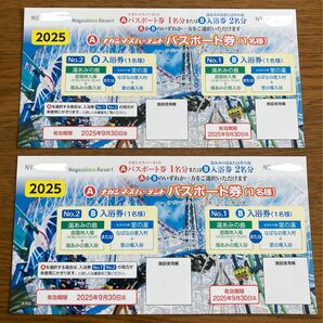 ナガシマスパーランド パスポート券 2枚