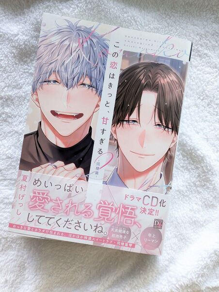 この恋はきっと、甘すぎる 2 ~同棲篇~夏村げっし