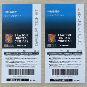 映画特別鑑賞券 グループチケット 2枚