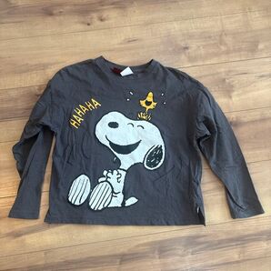 ZARAスヌーピー Tシャツ 長袖