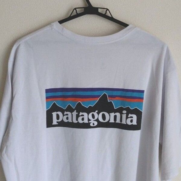 Patagonia ホワイト ポケット Tシャツ バックプリント men'sXL BIG SIZE パタゴニア Tシャツ