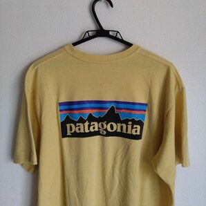 Patagonia カラシ Tシャツ バックプリント BIGロゴ men's L Regular Fit パタゴニア